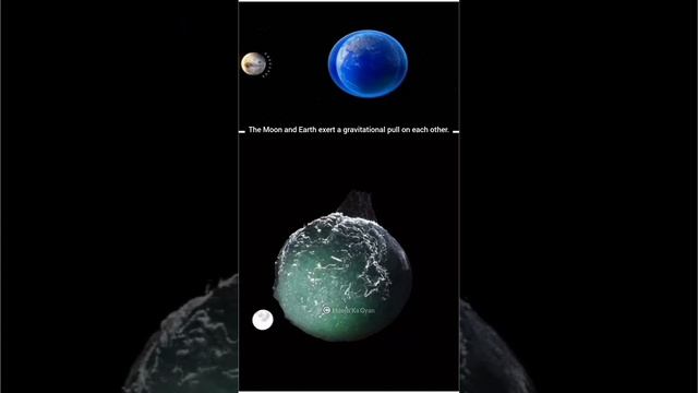 How Moon cause Tides on Earth? || #gk #knowledge #moon смотреть онлайн