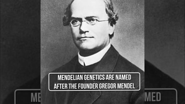 PSA #1 Mendelian Genetics