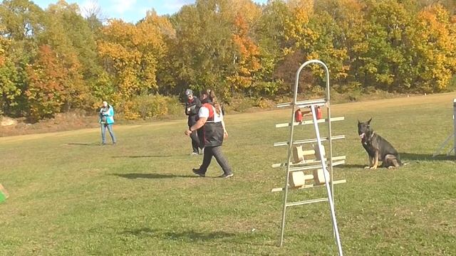 3. NIKEL SILVER, IGP 1, В смотреть онлайн