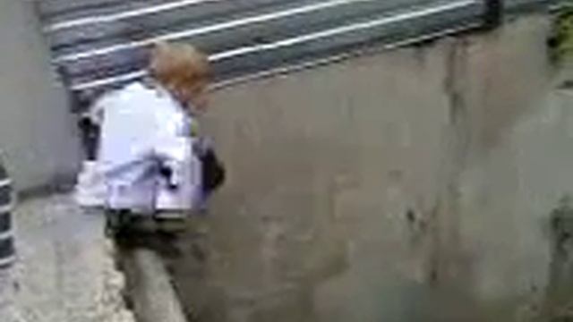 Падение олимпа смотреть онлайн