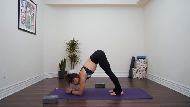 Prepare for Pincha Mayurasana - Build Strength for this challenging inversion. смотреть онлайн