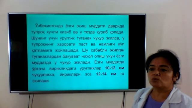 Эртаги ва кечки картошка етиштириш технологияси смотреть онлайн