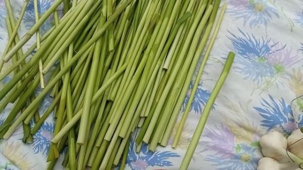 Выбрасывать ли стебли чеснока?