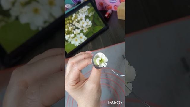 16 мая 2024 г. смотреть онлайн