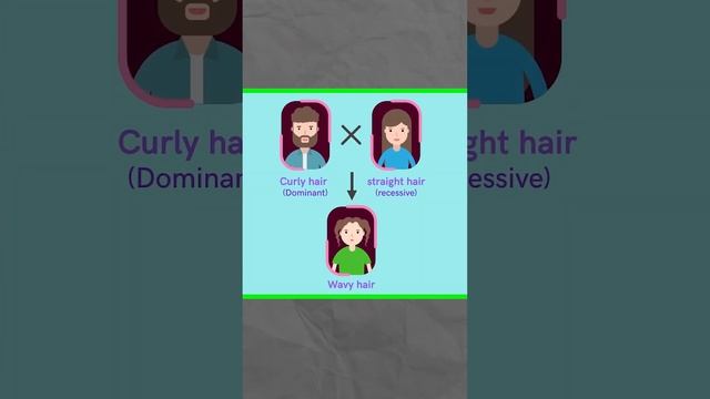 Co-dominance & incomplete dominance में अंतर #genetics #agricultureadda247 #biology смотреть онлайн