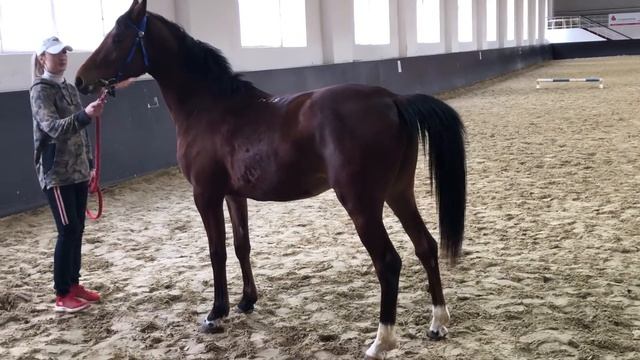 Vismut Tersk смотреть онлайн