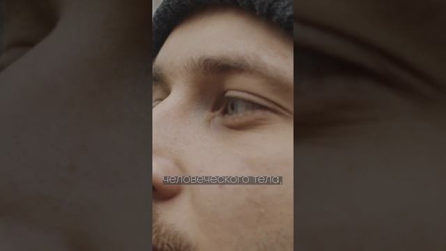 #94 - Пыль, вода и кровеносная система #Fact #short