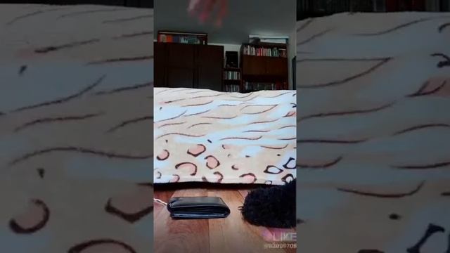 LIKE/ сцена из серии Смешариков=) (приятного просмотра❤️) смотреть онлайн