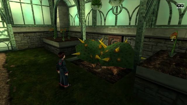 Гарри Поттер и философский камень #3 ➤ Урок профессора Стебель