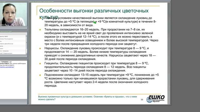 Выгонка луковичных культур в домашних условиях. Осенние «букеты в горшках», что с... смотреть онлайн