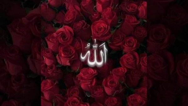 Җомга мөбәрәк булсын дусларым!🤲🤲🤲