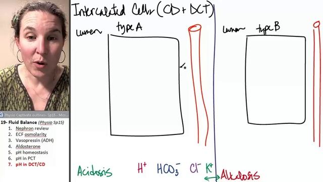 Fluid balance 7- pH in DCT+CD смотреть онлайн