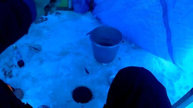 Это фиаско(Эх хвост чешуя не поймал я ни ....!!!!) смотреть онлайн