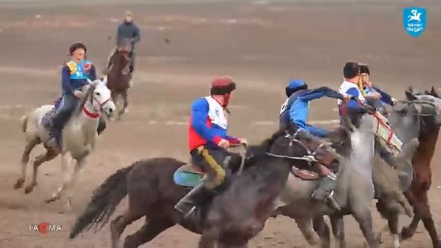 Нарын облусунун муундар ортосундагы ынтымак турнири 14,01,2024 смотреть онлайн