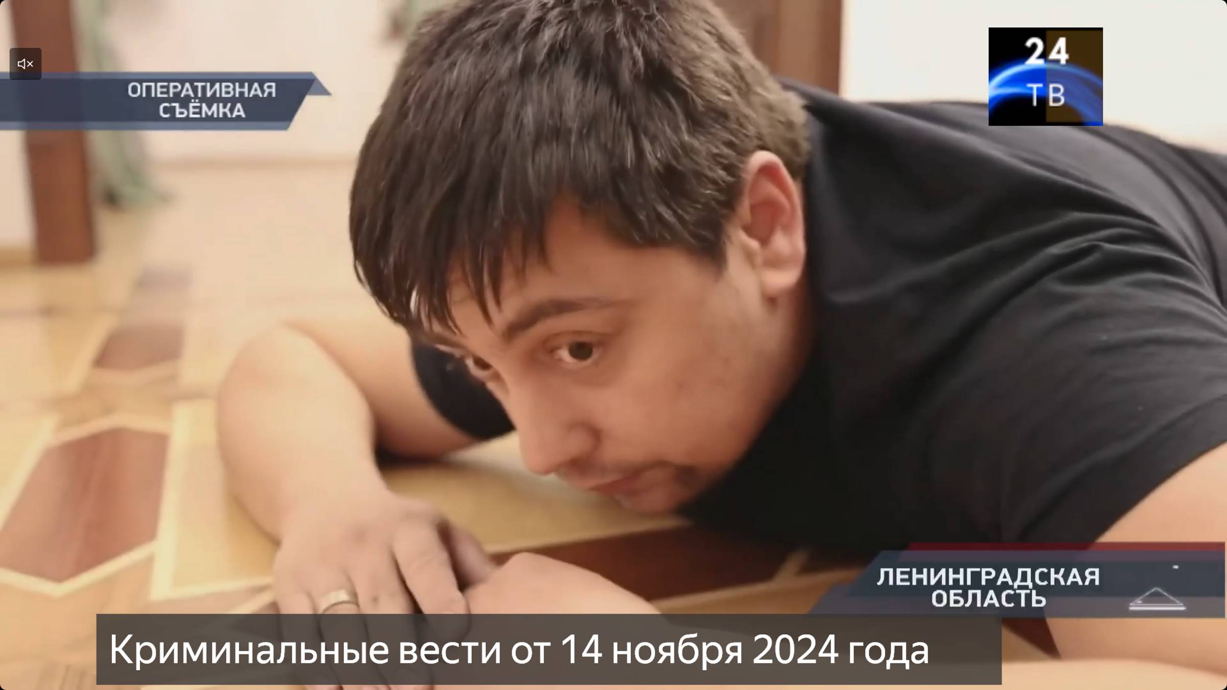 Петровка 38 выпуск от 14 ноября 2024 года смотреть онлайн