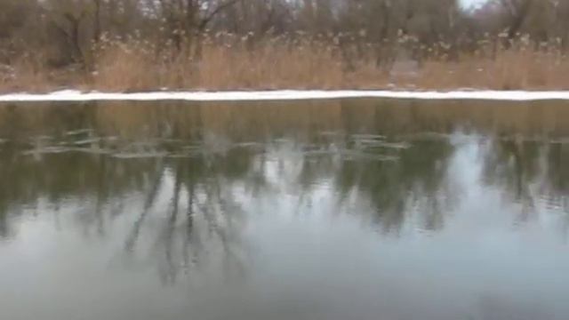 Красота живой природы.