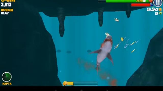 Играю в хангри шарк еволюшен тигровая акула смотреть онлайн