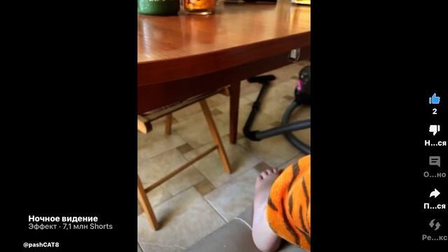 Вы видели валл-и! Из моего полисома ролика!! смотреть онлайн