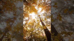 Охунжон Мадалиев  Кетгим келмаяпти онажон