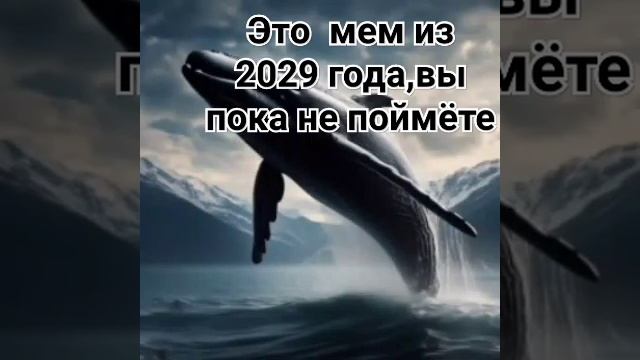 Декабрь 2029 год