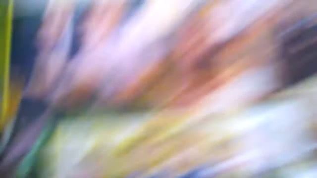 Мой выпускной альбом! смотреть онлайн