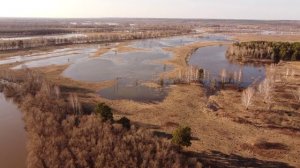 Тара река выходит из берегов. Весеннее половодье 2024.Омская область.