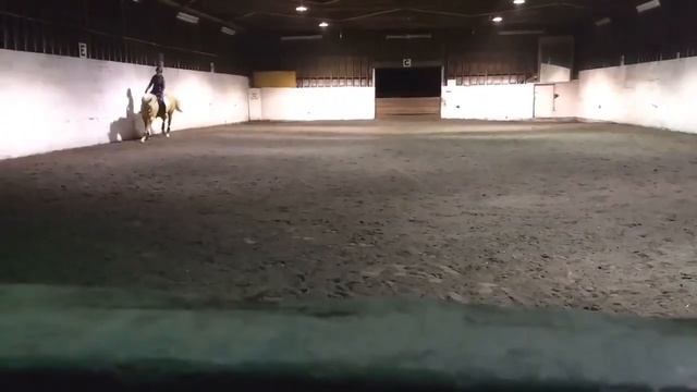 Daisy Dressage смотреть онлайн