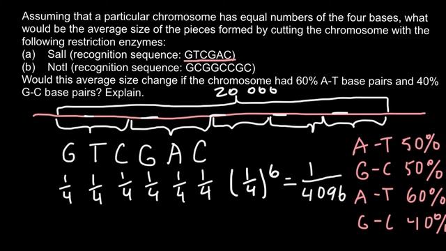 How to calculate occurrence frequency of restriction enzyme sites on DNA fragment? смотреть онлайн