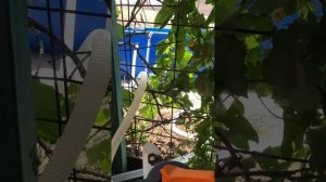 Подключение фильтр-насоса Bestway и скиммера к каркасному бассейну.