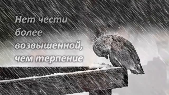 Аль-Мустафа: Великие слова великого человека смотреть онлайн