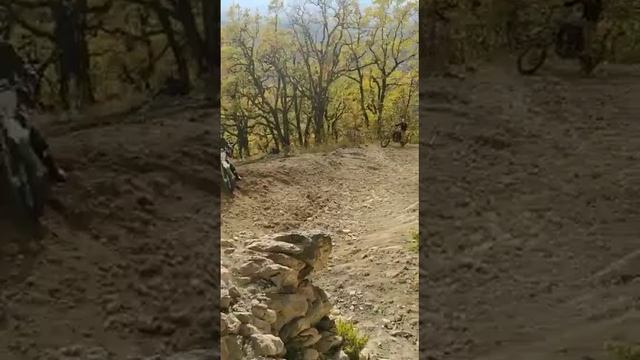 Сделал курву 😁, и отломал хвост, это ЖЕСТЬ 👍👍👍 смотреть онлайн