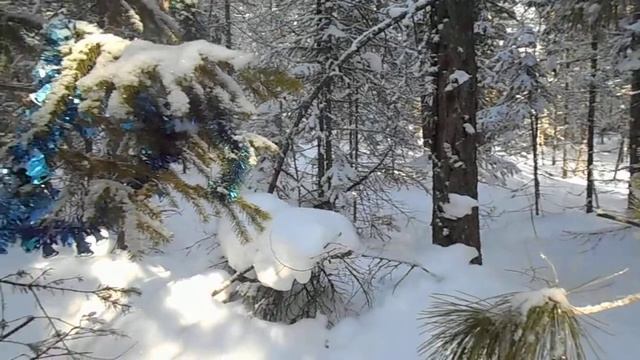 11.01.2020. Старая манская тропа. Часть 1. смотреть онлайн