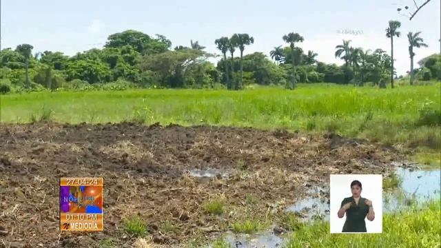 Vicepresidente de Cuba chequeó producción de arroz en Artemisa смотреть онлайн
