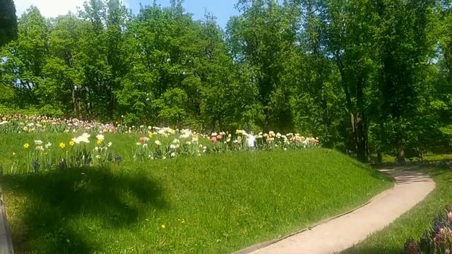 Завравшаяся Лена Хеппи.Хомяки отписываются.Лена предъяви Селима смотреть онлайн