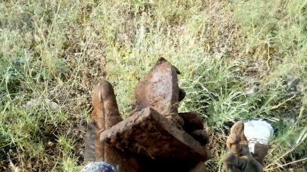 Сегодня металлокоп меня порадовал.