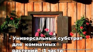 Идеальная почва для герани: советы, которые работают | flowersecrets