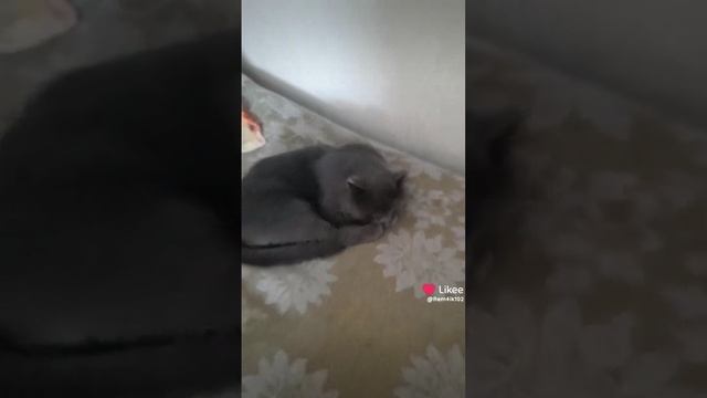 Друзьям🔥 смотреть онлайн