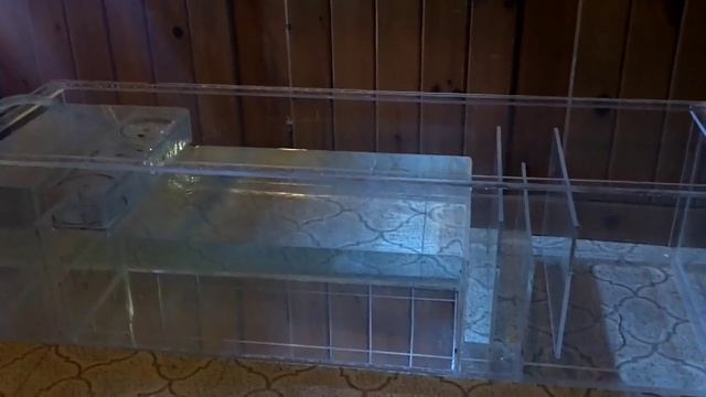 Diy Sump water test for my 125 gallon reef tank project смотреть онлайн