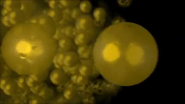 Hot Quark Soup Produced at RHIC смотреть онлайн