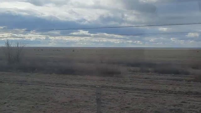 ТАТАРЫ АСТРАХАНИ*беседа в пути*РУС*деньги ордынцев,солёное озеро,пьянящий запах полыни,закон степи смотреть онлайн