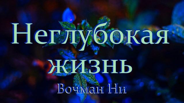 "Неглубокая жизнь" Вочман Ни смотреть онлайн