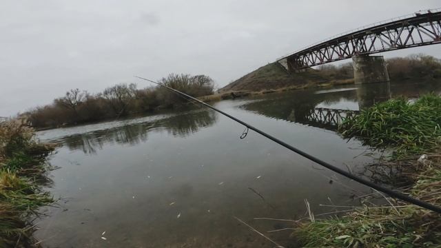 Рыбалка на щуку, спасаем удочку в Орле смотреть онлайн