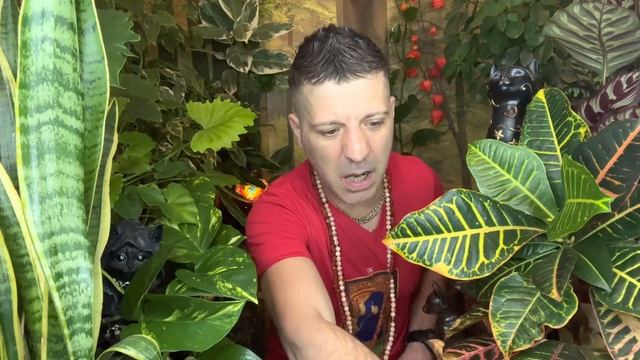 LEO NOVEMBER 2022 ⭐️ OMG! YOU BETTER BELIEVE THIS LEO!! FINALLY! | BIG CHANGE COMING Horoscope Taro