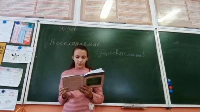 Особенности несклоняемых существительных смотреть онлайн