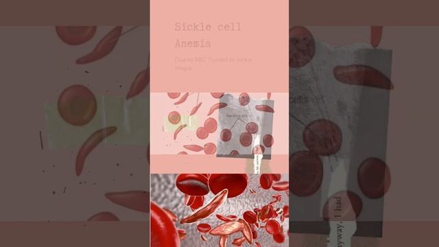 Genetic| Disorder| Disease| Science bio | cells chromosomes| #shortsvideo #education смотреть онлайн
