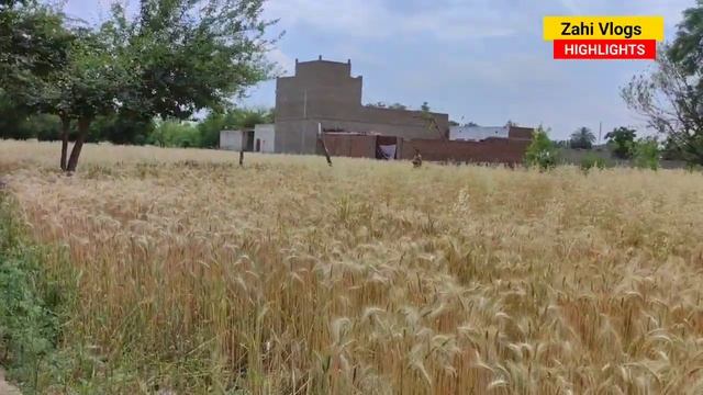 Pakistan Last Village Life 🇵🇰 смотреть онлайн