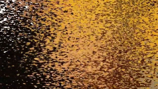 Cyclan Jones ___ Seesucka 2020 (c.2017) смотреть онлайн