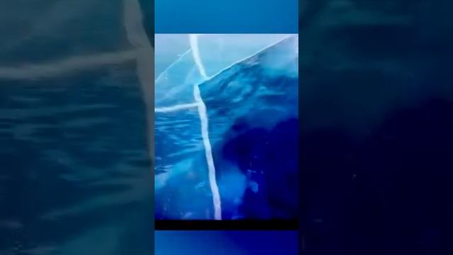 Уникальность и красота нашего мира/Россия/ смотреть онлайн