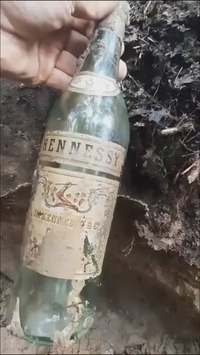 Интересная находка в блиндаже смотреть онлайн