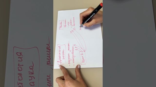 Как эффективно снизить вес! #диетолог #снижениевеса #эндокринолог